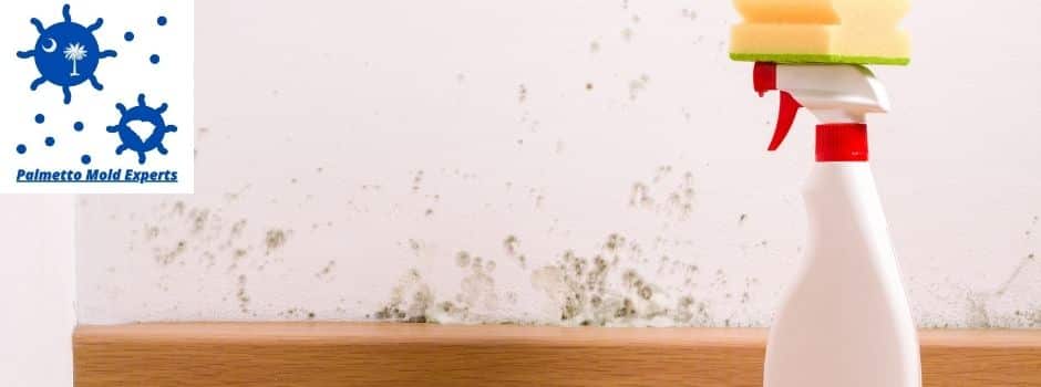 Can a Homeowner Remediate Mold Yourself