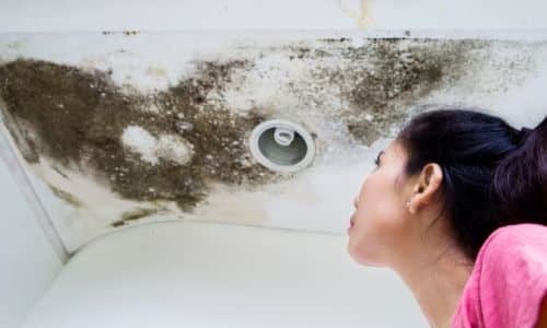 Does mold have to be professionally removed In South Carolina