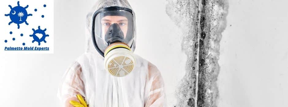Does mold remediation really work