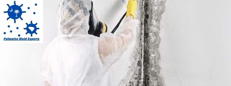 Eastover SC mold removal remediation and testing