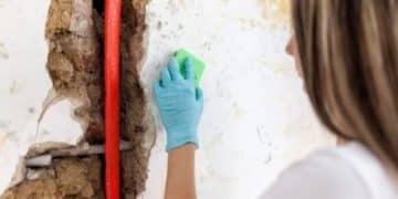 Does Mold Have To Be Professionally Removed?