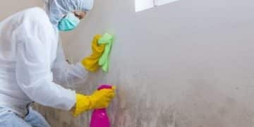 Mold Remediation