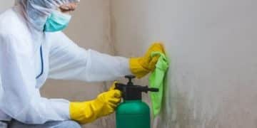 Mold Removal