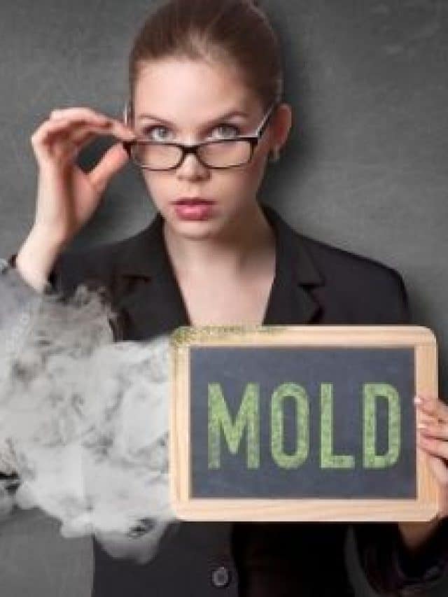 CDC rules for Mold In South Carolina