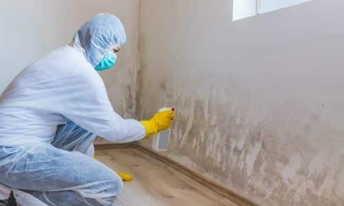 fixing a mold problem in Columbia SC