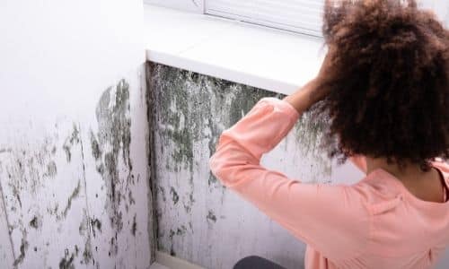 how to remove mold from inside walls in South Carolina