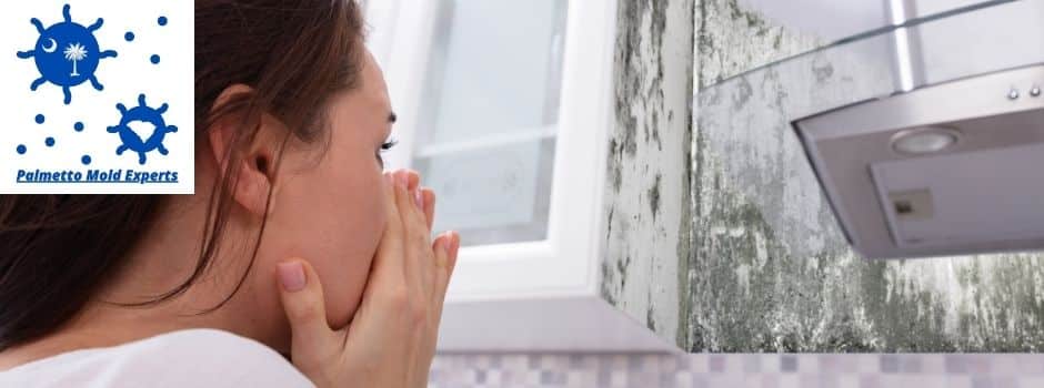 how to remove mold from inside walls