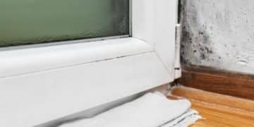 Can You Live In A House With Mold?