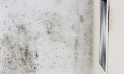 mold inspection tips in South Carolina(1)