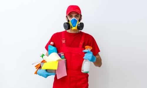 mold remediation cost in South Carolina