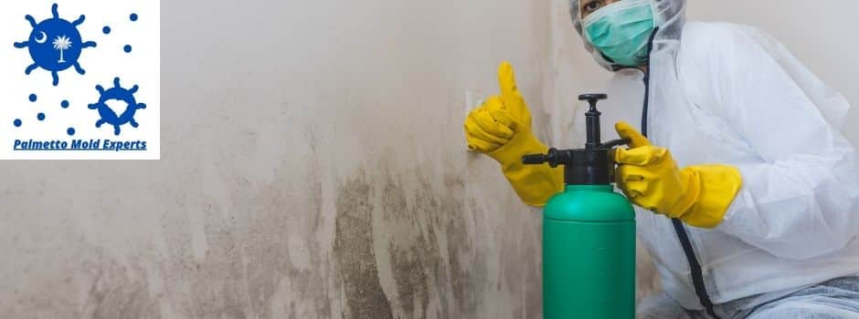 mold remediation