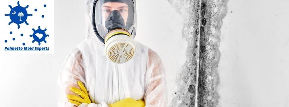 mold removal