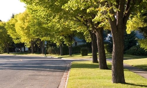 neighborhood in Columbia SC