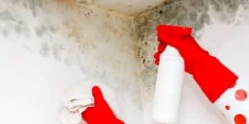 Does Mold Remediation Really Work