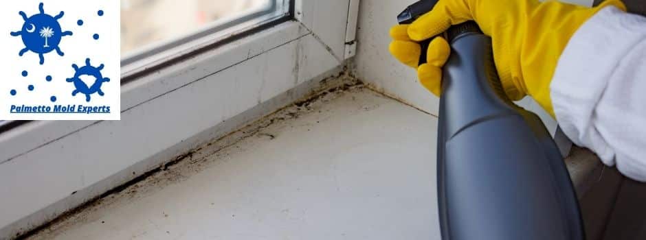 when is mold remediation required