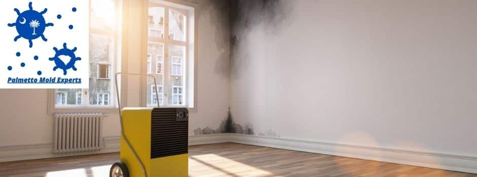 mold removal in Blythewood SC