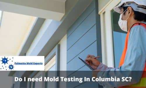 Do I need Mold Testing In Columbia SC