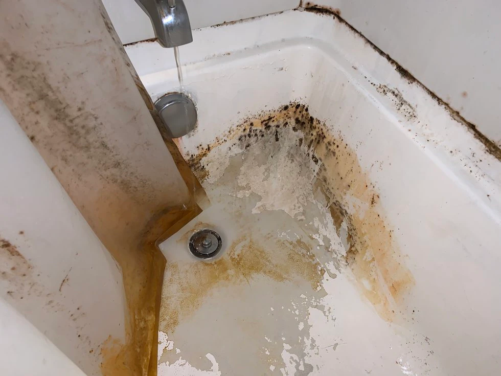 Mold Hell at apartment complex in NE Columbia: ‘We’re practically homeless’