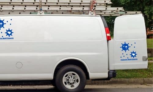 mold removal van palmetto mold experts