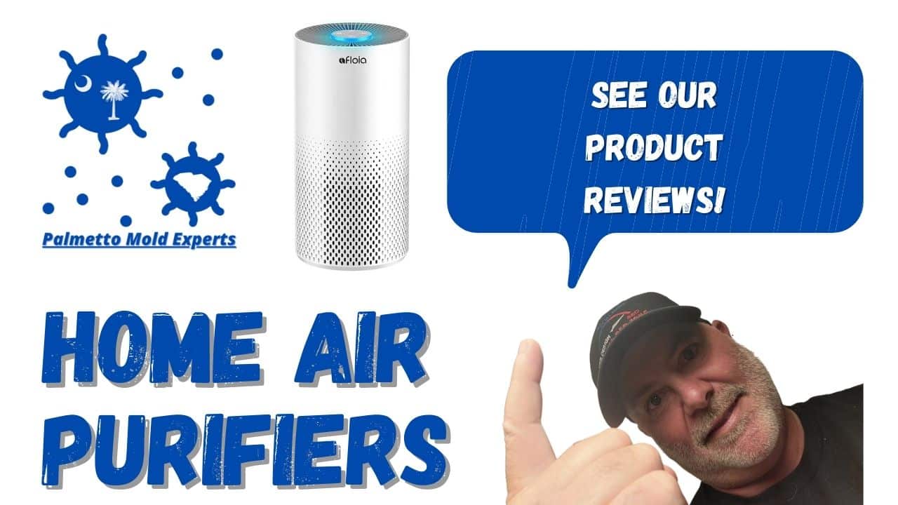 air purifier product reviews