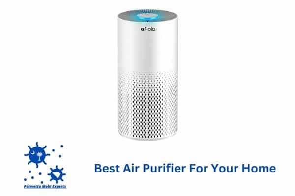 best air purifier for your home